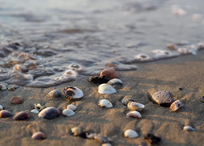 Spacious Flat With Pool View Bibione